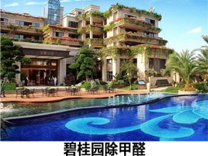 碧桂园除甲醛